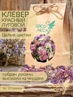 Клевер луговой цветки для здоровья и творчества