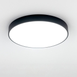 Citilux Купер CL72495G1 LED RGB Светильник с пультом Чёрный