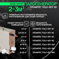 Steamtec TOLO KEY 30 - 3 кВт (стандартный модуль управления), парогенератор для хамама и турецкой бани