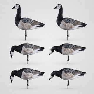 Белощекая казарка Duck Mania "ELITE"