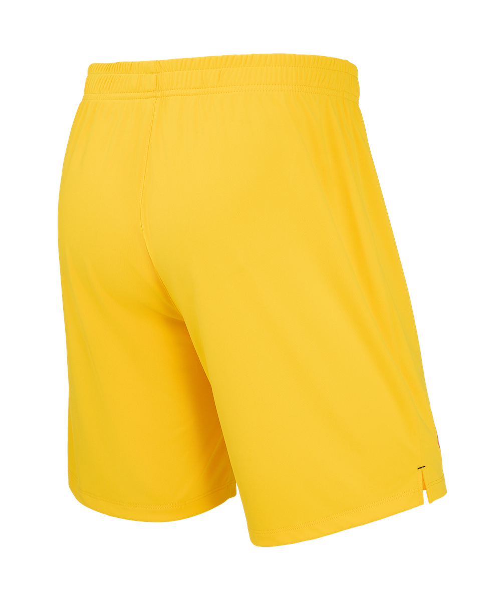 Шорты вратарские Jögel PerFormDRY Spartak 25 GK Shorts-K, желтый