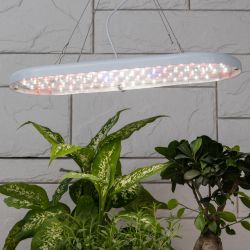 Светильник для растений ЭРА FITO-25W-QLED-FLY подвесной полного спектра 25 Вт | Интерьерные фито светильники