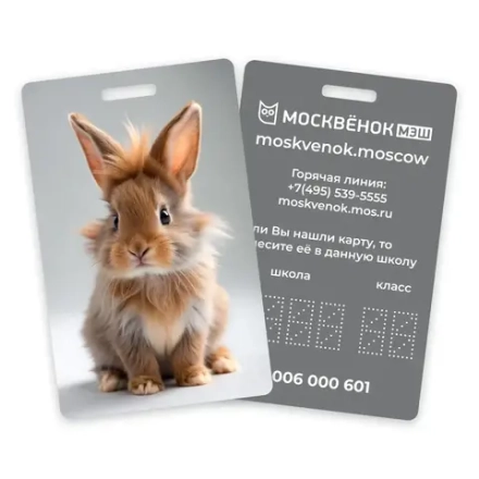 Карта Москвёнок BUNNY №5 (проход + питание)