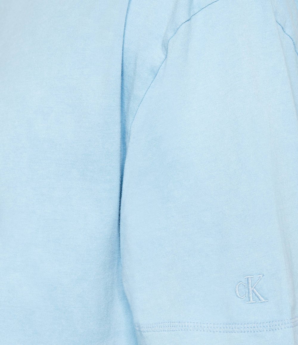 Футболка ARCHIVAL MONOLOGO CALVIN KLEIN JEANS - голубой(J30J325427)