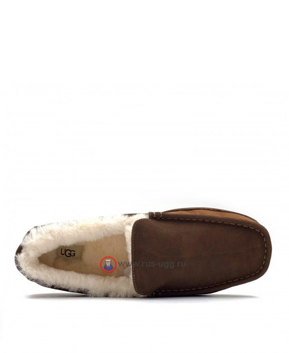 ASCOT MENS cognac