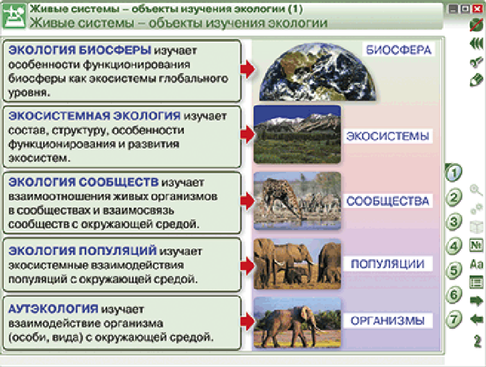 Наглядная биология. Введение в экологию
