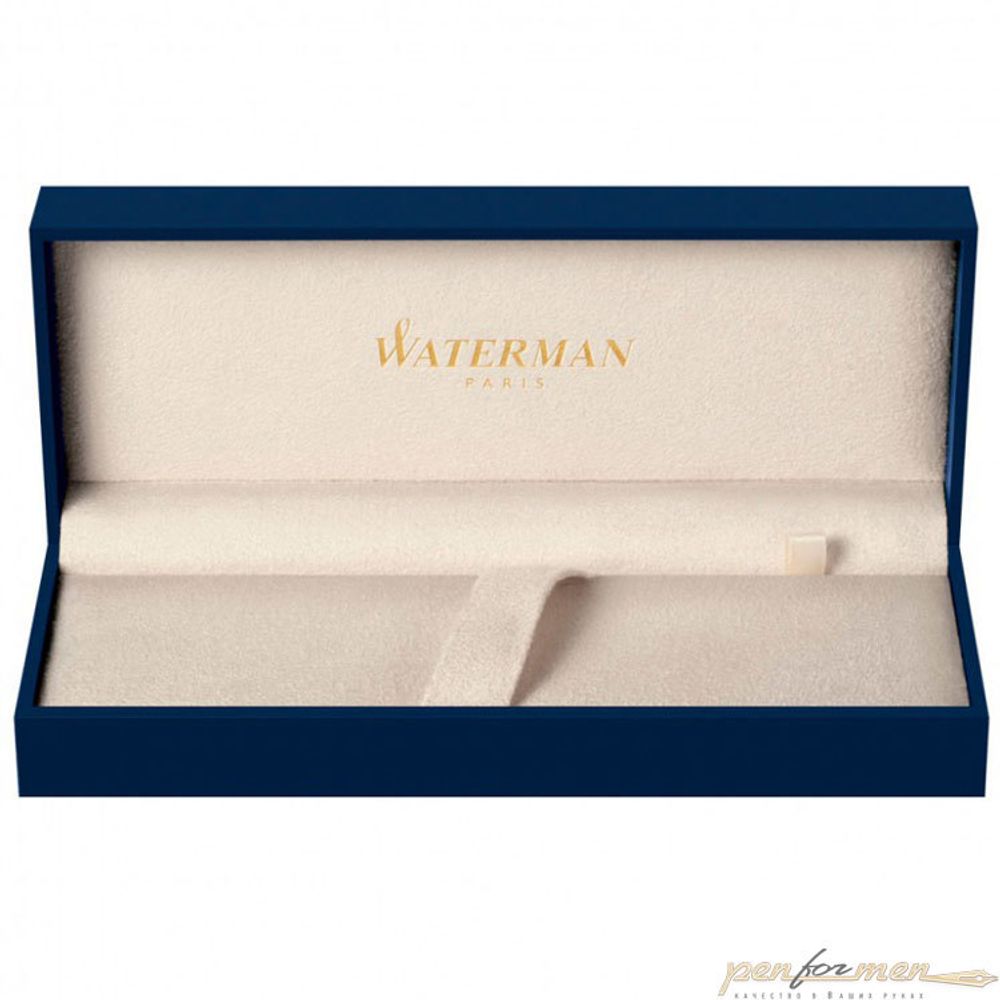 Перьевая ручка Waterman Expert 3 DeLuxe Black CT перо F (S0952300)