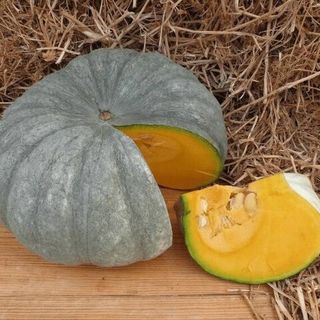 Тыква Крупноплодная Мраморная  1 кг