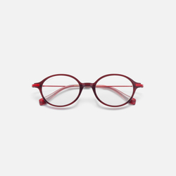 Очки WHITELAB Terra Red / Blue Protect