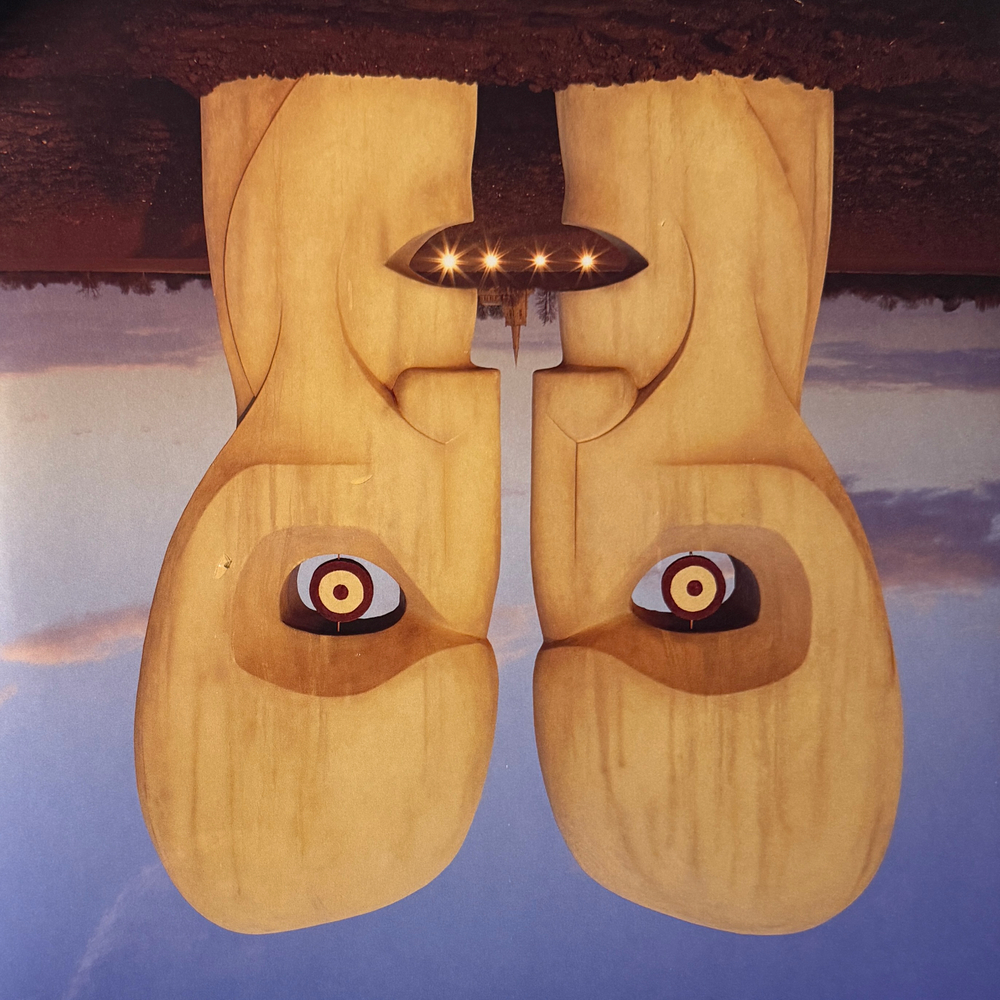 Pink Floyd ‎– The Division Bell 2LP (Европа 2025г.)