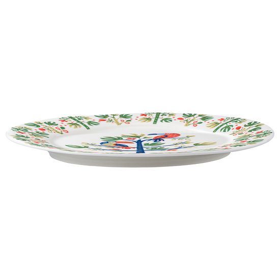 Тарелка toucan из коллекции birds of paradise, D28 см