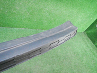 DSCN4610.JPG