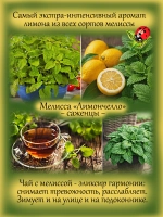 Мелисса Лимончелло экстра интенсивная