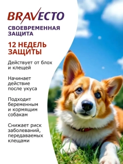 Таблетка для собак 20-40кг от блох и клещей 1000мг
