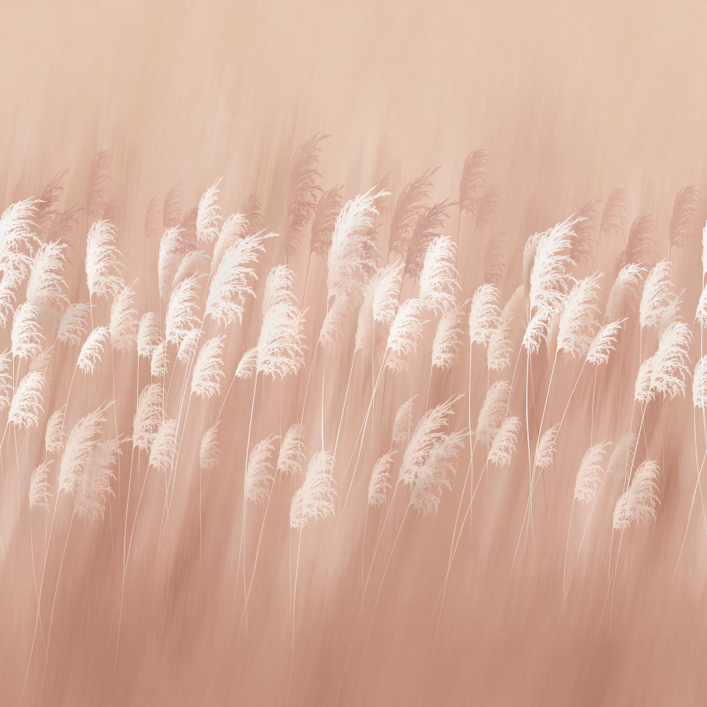 Коллекция Flower dreams 2
