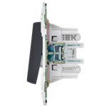 SKANDY Выключатель 2-клавишный перекрестный 10А SK-V06T титан IEK