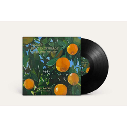 Lana Del Rey — Violet Bent Backwards Over The Grass (LP)