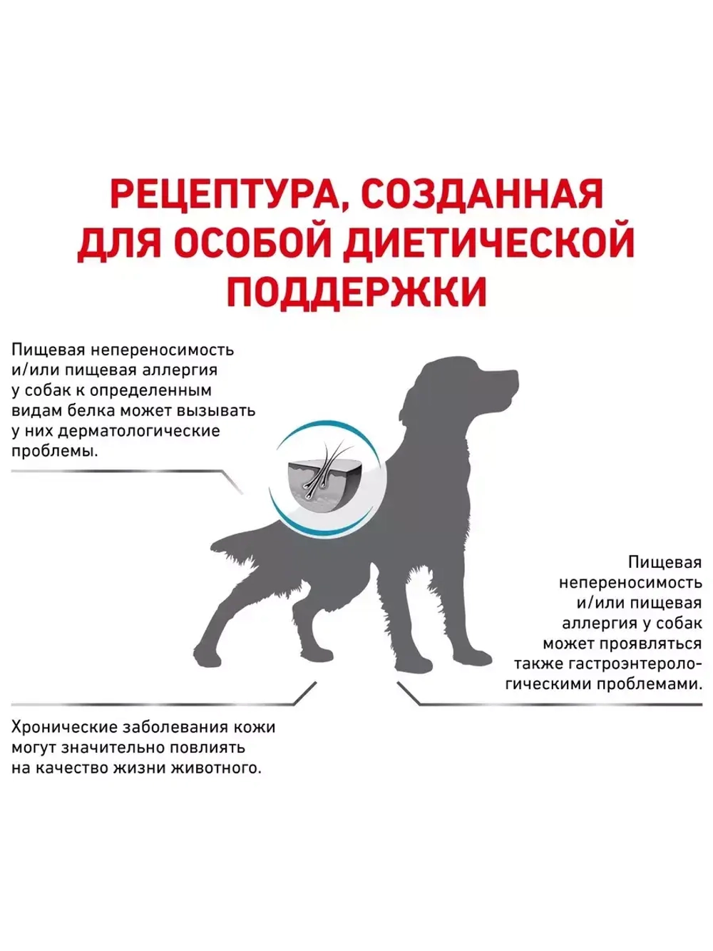 Royal Canin Anallergenic (Роял Канин Аналлердженик )корм сухой для собак Anallergenic 3 кг.