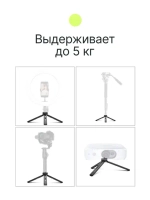 Штатив компактный RayLab MT-TM