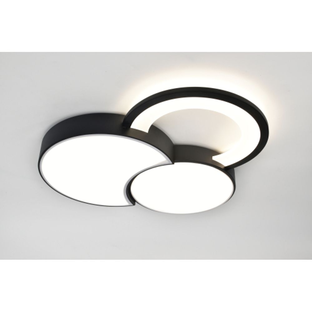Светильник потолочный светодиодный Rivoli Aliona 6161-702 LED 68 Вт 3000 - 6000 К с пультом | Rivoli