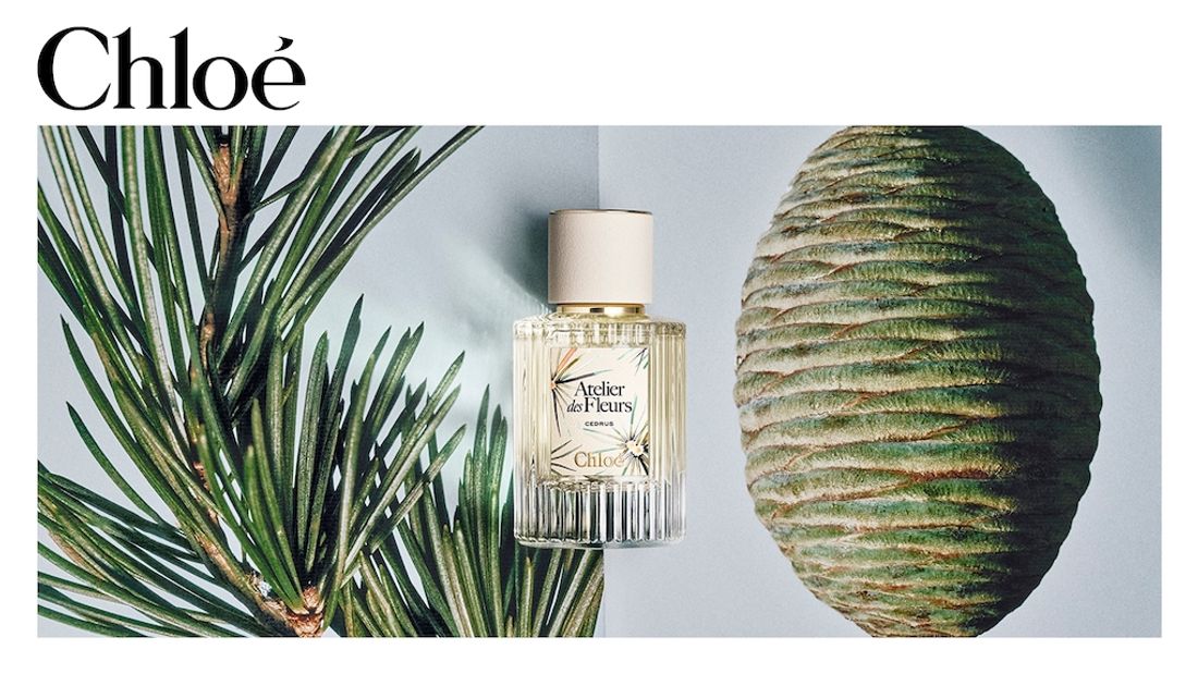Парфюмерная вода Chloé Atelier des Fleurs Cedrus 50 мл Оригинал