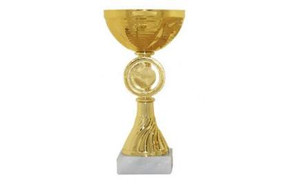 Кубок LD 04-15