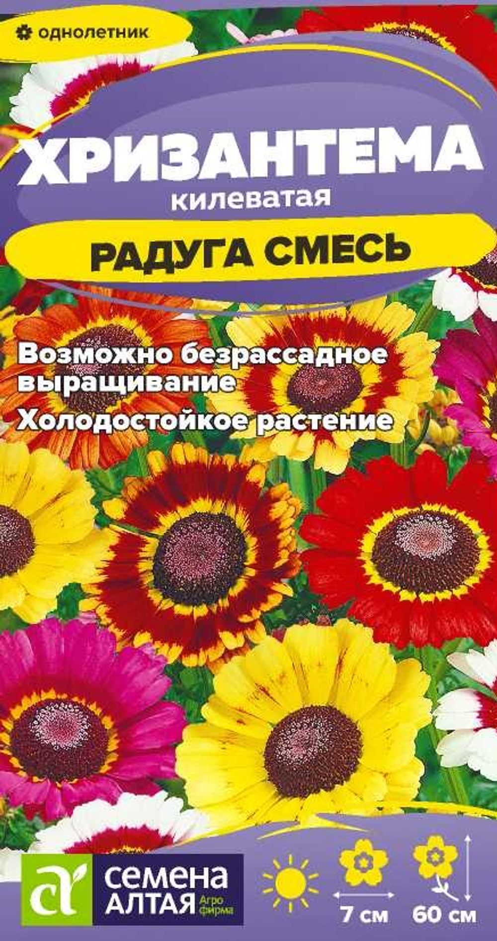 Хризантема Радуга килеватая 0,1г Семена Алтая - многолетник