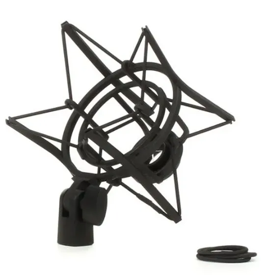AKG P220