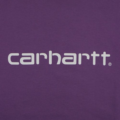 Футболка мужская Carhartt WIP Script артикул:I029915 - купить в магазине Дайс