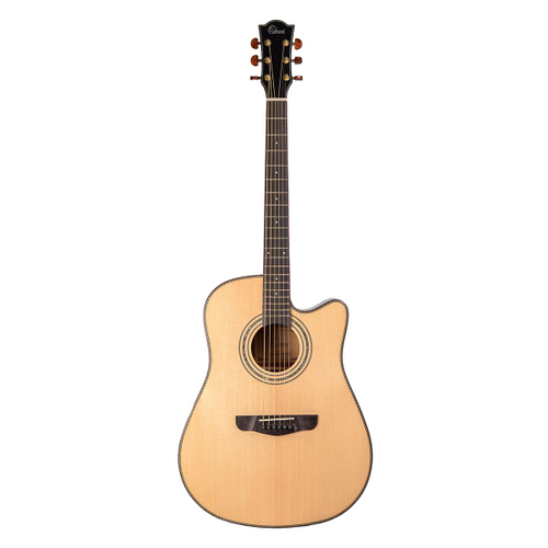 Omni D-890S акустическая гитара