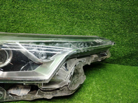 IMG_20260920_172307.JPG