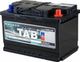 Аккумулятор TAB Motion 55 T 113812 ( 12V 55Ah / 12В 55Ач ) - фото 1
