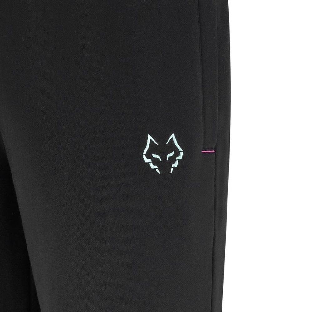 Meskie spodnie tenisowe Babolat Sweat J. Lebron - black/black