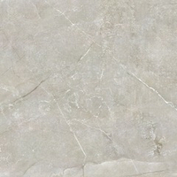 NT Ceramic Quanta Grey NS6NTT9022 60x60