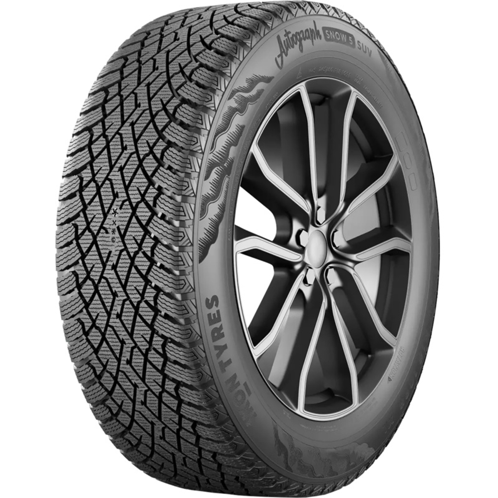 Автошина Ikon 255/55 R18 109R Autograph Snow 5 SUV