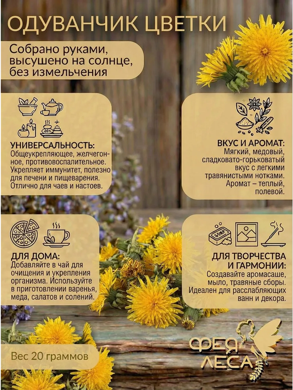 Одуванчик