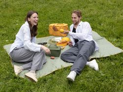 Термосумка для пикника Smart Picnic, L, горчичная