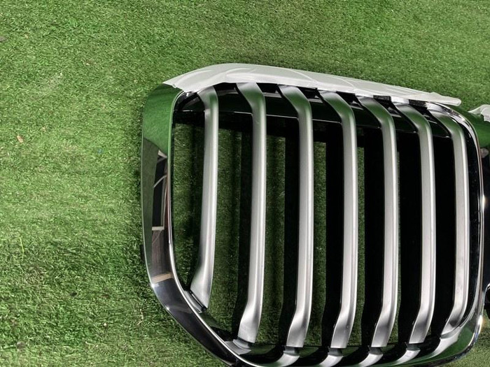 Решетка радиатора BMW X7 G07 (2019-2022)