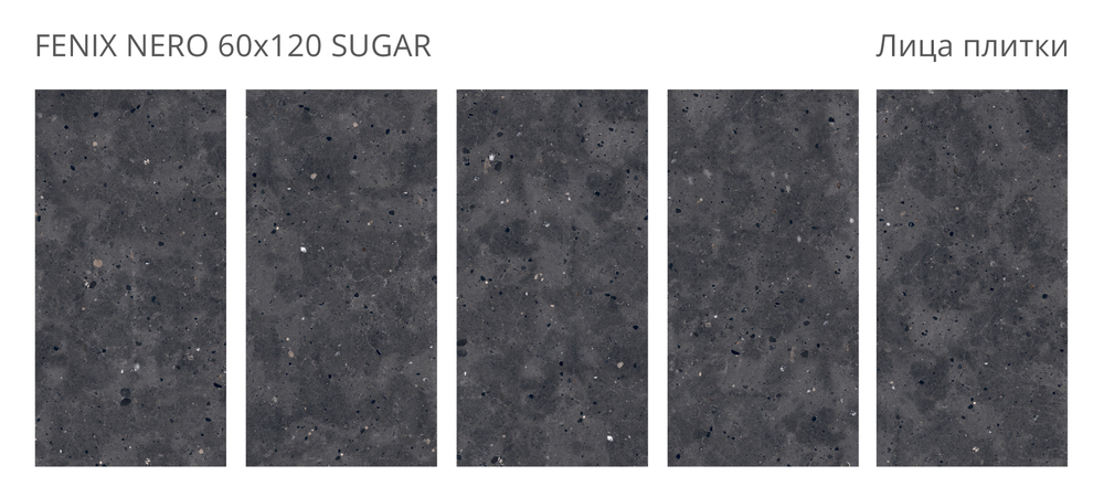 FENIX NERO 60x120 SUGAR