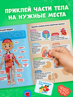 Наклейки "Секреты тела человека", 16 стр.