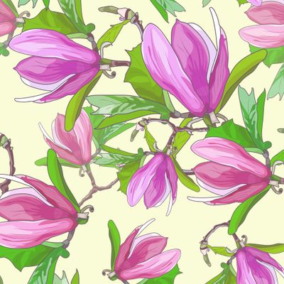 Magnolia flowers pattern