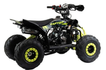 Квадроцикл MOTOLAND (МОТОЛЕНД) 110 RAPTOR A
