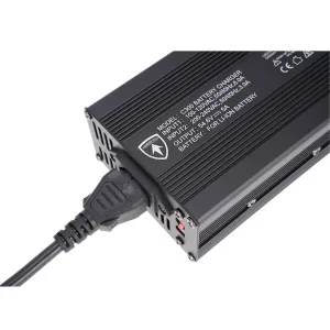 Зарядное устройство для моделей FT01/ FT02 Charge E 5A 48V (ПОД ЗАКАЗ)
