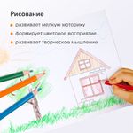 Карандаши цветные пластиковые BRAUBERG PREMIUM, 18 цветов, трехгранные, грифель мягкий 3 мм, 181662