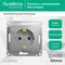 Розетка с заземлением без шторок Systeme Electric Glossa Алюминий GSL000343