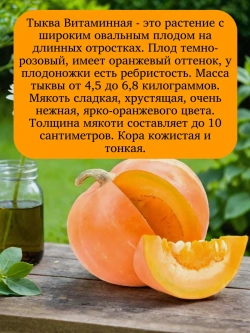 Семена Тыква мускатная Витаминная 20 гр