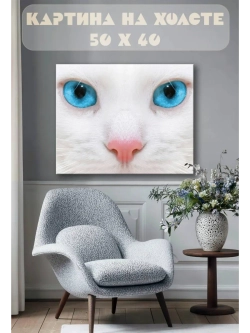 Картина на стену 40 X 50 Кошка