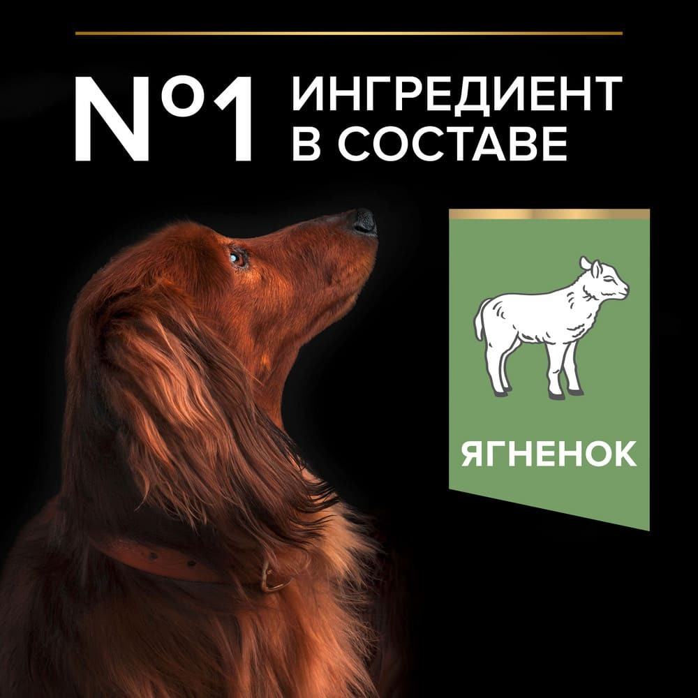 Сухой корм Ягнёнок  для взрослых собак мелких пород Pro Plan РАЗВЕСНОЙ