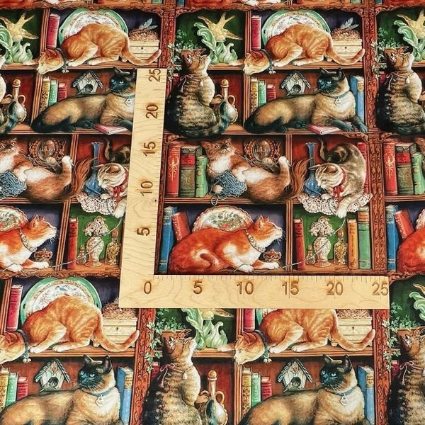 КНИЖНАЯ ПОЛКА, КОТЫ в двух отрезах , 5 рядов целые картинки 2